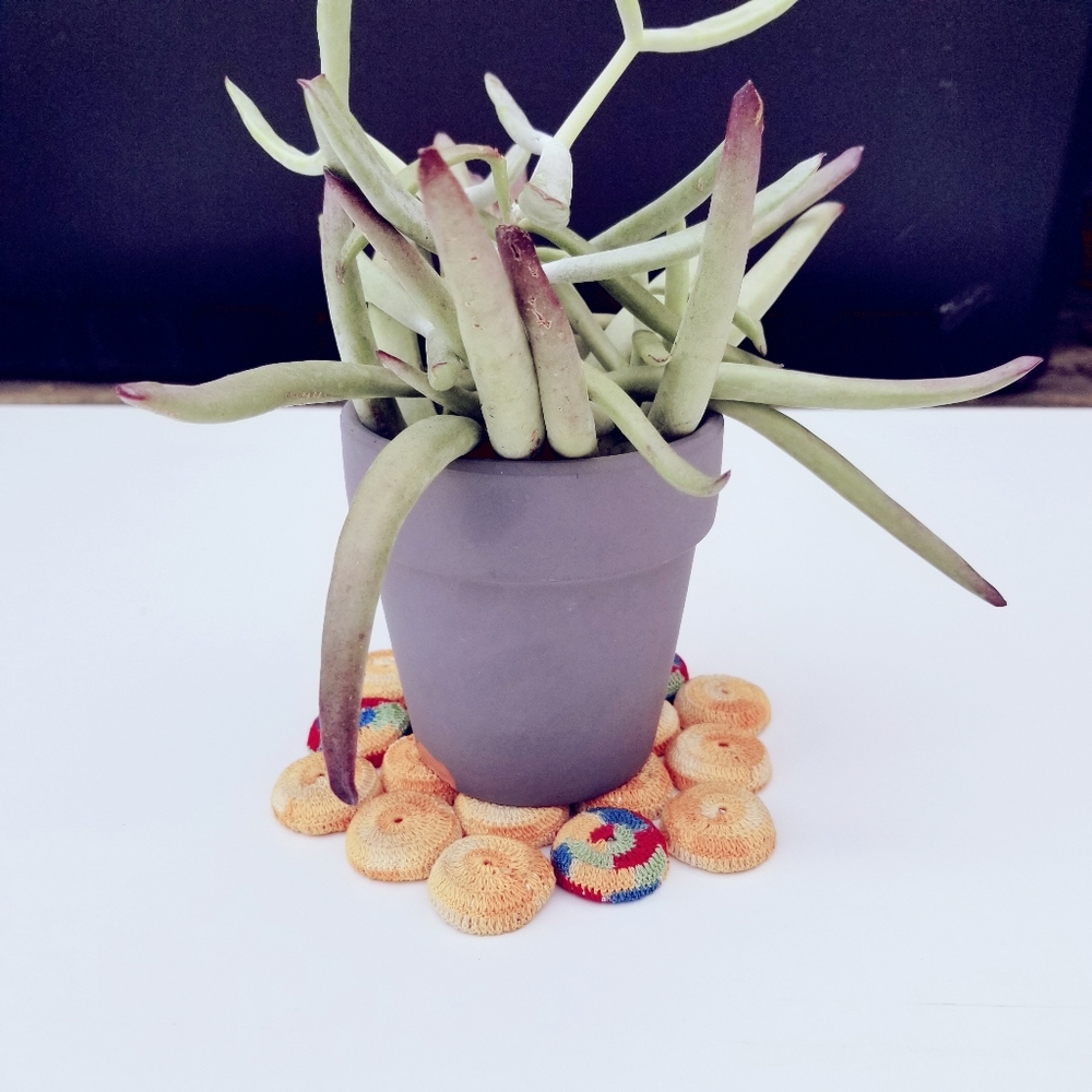Vintage Crochet Bottle Cap trivet